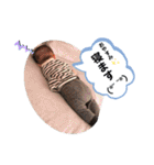 夢叶くん3（個別スタンプ：18）