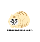 さとしのいる生活（個別スタンプ：3）