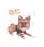 ぷー第2弾（個別スタンプ：2）