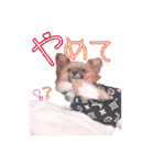ぷー第2弾（個別スタンプ：4）
