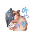 ぷー第2弾（個別スタンプ：14）