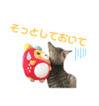 コタロースタンプpart2（個別スタンプ：11）