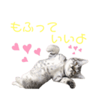 コタロースタンプpart2（個別スタンプ：40）