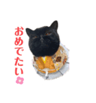 黒いマシュマロ❤︎おギギしゃん（個別スタンプ：1）