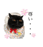 黒いマシュマロ❤︎おギギしゃん（個別スタンプ：5）
