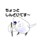 ちょっと丁寧なセキセイインコ3（個別スタンプ：4）