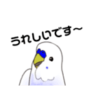 ちょっと丁寧なセキセイインコ3（個別スタンプ：5）