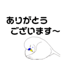 ちょっと丁寧なセキセイインコ3（個別スタンプ：6）
