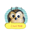 フクロウいっぱい5**（個別スタンプ：12）