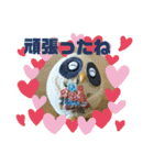 フクロウいっぱい5**（個別スタンプ：13）