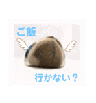 ぽんちゃんハムちゃんず（個別スタンプ：4）