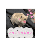 ぽんちゃんハムちゃんず（個別スタンプ：7）