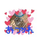 ぽんちゃんハムちゃんず（個別スタンプ：18）