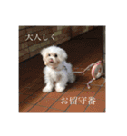 噂のfam2（個別スタンプ：7）