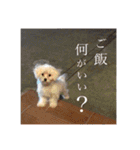 噂のfam2（個別スタンプ：15）