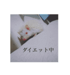 噂のfam2（個別スタンプ：20）