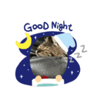 子猫のきょんSpecial（個別スタンプ：7）
