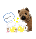 しろくまファミリー（個別スタンプ：21）