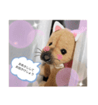 しろくまファミリー（個別スタンプ：24）