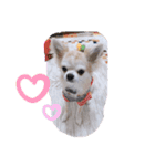 とろろだょ♡♡（個別スタンプ：1）