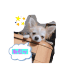 とろろだょ♡♡（個別スタンプ：2）