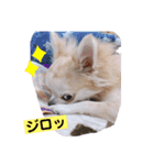 とろろだょ♡♡（個別スタンプ：3）