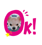 とろろだょ♡♡（個別スタンプ：5）