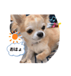 とろろだょ♡♡（個別スタンプ：7）