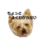 はるとなつ 日常用（個別スタンプ：2）