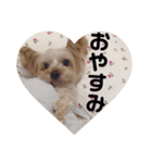 はるとなつ 日常用（個別スタンプ：3）