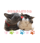 ルイくんとシャーロットちゃん（個別スタンプ：1）
