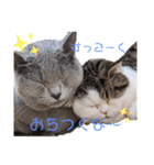 ルイくんとシャーロットちゃん（個別スタンプ：4）