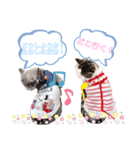 ルイくんとシャーロットちゃん（個別スタンプ：6）