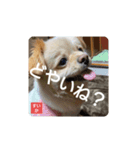 男まえ！すいか。（個別スタンプ：1）