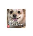 男まえ！すいか。（個別スタンプ：2）