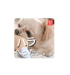 男まえ！すいか。（個別スタンプ：3）