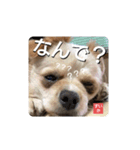 男まえ！すいか。（個別スタンプ：5）