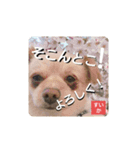 男まえ！すいか。（個別スタンプ：6）