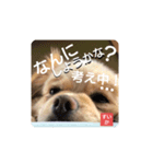 男まえ！すいか。（個別スタンプ：7）