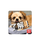 男まえ！すいか。（個別スタンプ：8）