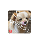 男まえ！すいか。（個別スタンプ：9）