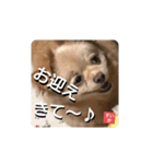 男まえ！すいか。（個別スタンプ：11）