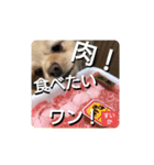 男まえ！すいか。（個別スタンプ：12）