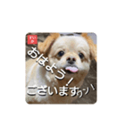 男まえ！すいか。（個別スタンプ：13）