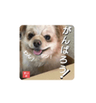 男まえ！すいか。（個別スタンプ：14）