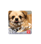 男まえ！すいか。（個別スタンプ：15）