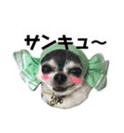 ちくわのスタンプ二（個別スタンプ：2）