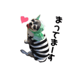 ちくわのスタンプ二（個別スタンプ：6）