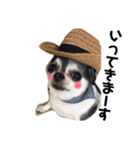 ちくわのスタンプ二（個別スタンプ：7）