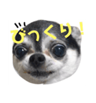 ちくわのスタンプ二（個別スタンプ：9）
